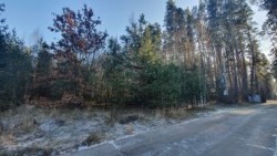 Участок в Новогуйвенске 12 соток ...лес и озеро фото 2